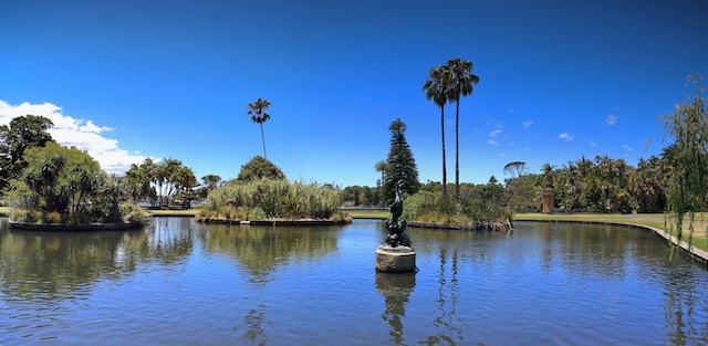 Jardin botánico