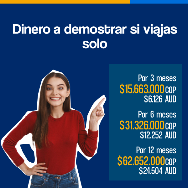 dinero a demostrar visa individual